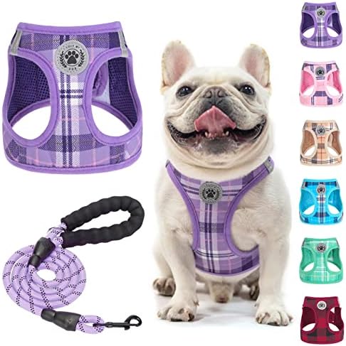 BEAUTYZOO Small Dog Harness and Leash Set,No Pull Puppy Pet Vest- Purple, L by BEAUTYZOO