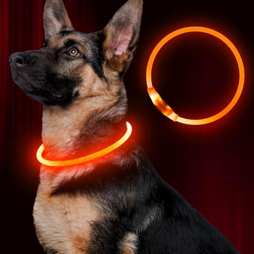 Led Dog Collar, BSEEN USB Rechargeable Flash Dog Necklace Light, Pet Safety Collar Makes Your Beloved Dogs Be Seen at Night for Small Medium Large Dogs(Orange) by BSEEN
