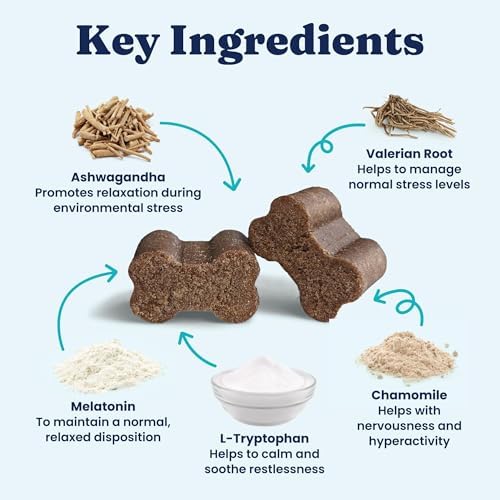 Solid Gold Calming Chews for Dogs with Melatonin for Storms & Travel, 120ct - Image 5