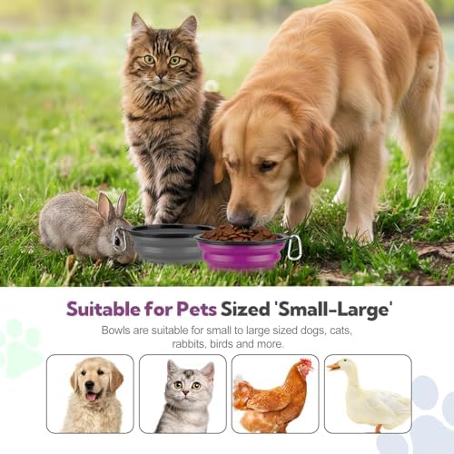 Collapsible Dog Bowl Large 34oz, Travel Dog Water Bowl Portable - Image 2