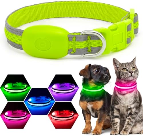 Flashseen LED Dog Collar, Light Up Dog Collar USB Rechargeable (Green, X-Small) by Flashseen