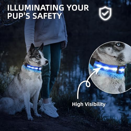 Super Bright LED Dog Collar, Waterproof Light up Collars(Blue, Medium) - Image 3