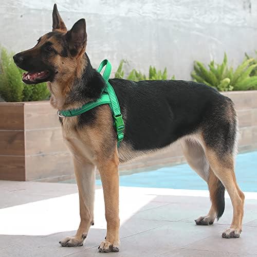 Plutus Pet No Pull Dog Harness with Front Clip, Breathable Mesh Padded - Image 5