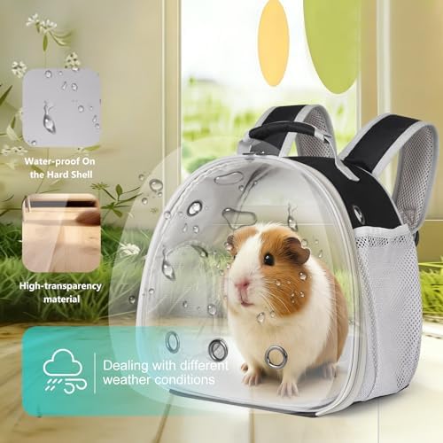 Guinea Pig Backpack, Space Capsule Bubble Window Small Animal Backpack for Guinea Pig, Bird Bunny Rabbit - Image 3