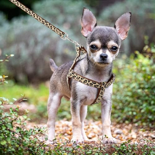 Mile High Life Leopard Dog Harness Collar Leash Set, Adjustable No Pull Dog Halter Harness for Small Breed Dogs, Easy Control for Training Walking (Brown, S Chest 11"-18", Neck 10"-14") - Image 4