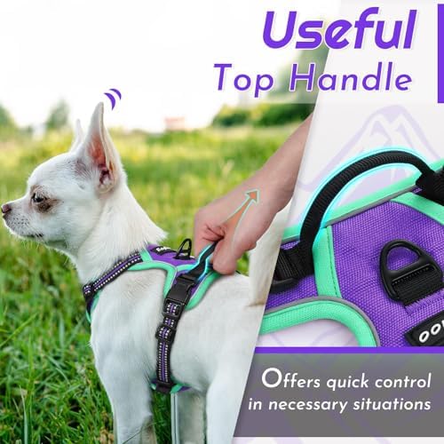Eagloo Dog Harness for Small Dogs, No Pull Pet Vest with 2 Leash Clips - Image 4