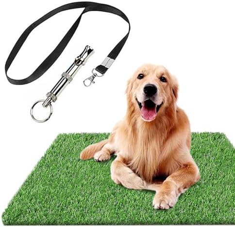 Dog Grass Pad for Dogs - Image 5
