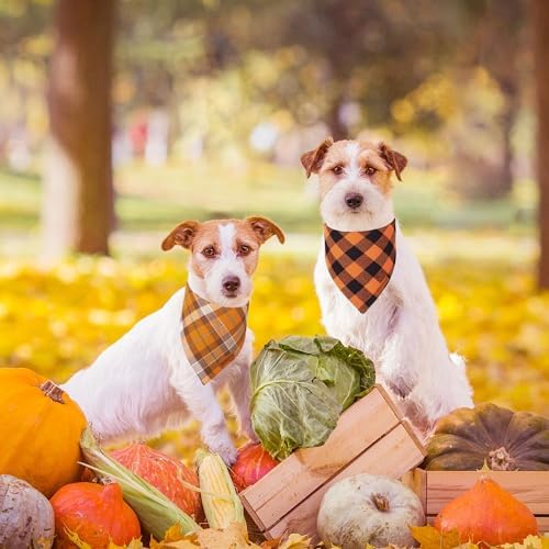 ADOGGYGO Fall Thanksgiving Dog Bandanas, Orange Plaid Dog Scarf, Small - Image 2