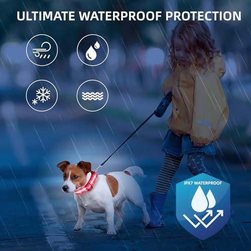 Super Bright LED Dog Collar - Fully Waterproof & Adjustable Glow Collar - USB-C Rechargeable for Night Walking, Safety - Flashing Lighted Collar for Dogs(Red,S) - Image 3