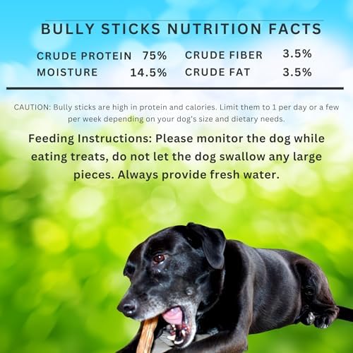 Regular Fully Organic Bully Sticks (1 Pound – 6 Inch) (16 oz Pack) - All Natural, 100% Beef Pizzle Dog Chews, Fully Digestible, Best Dental Treats for Puppies, Medium & Small Dogs (6") (1 lb) - Image 2