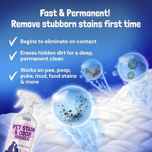 Sunny & Honey Carpet Cleaner Spray, Enzyme Pet Stain Remover, 32oz Lavender - Image 3