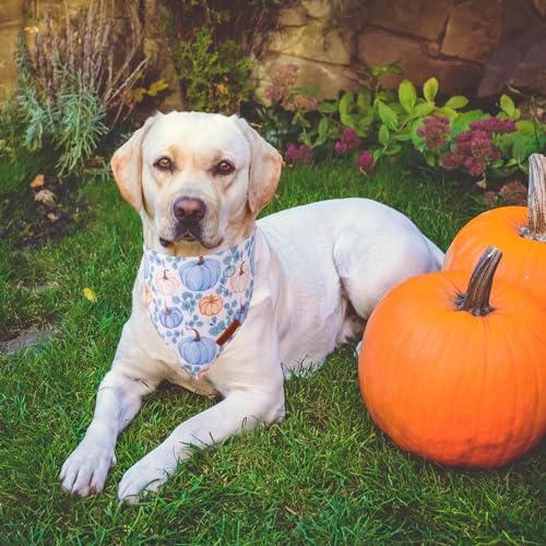 ADOGGYGO Thanksgiving Dog Bandana, Fall Pumpkin Dog Scarf, X-Large - Image 3