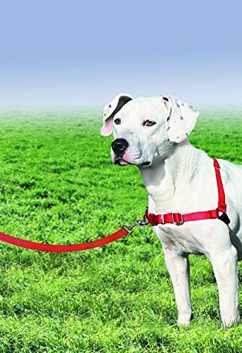 PetSafe Easy Walk Harness Small/Medium Red/Black for Dogs - Image 3