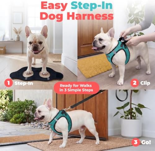 Voyager Step-in Air Dog Vest Harness - Turquoise 2-Tone, Medium - Image 3