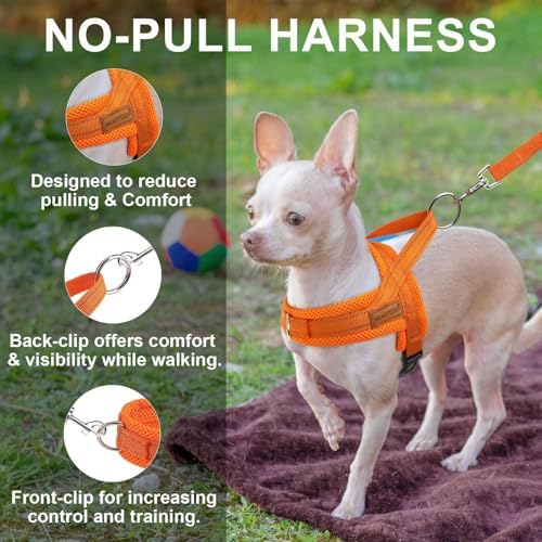 BEAUTYZOO Small Dog Harness and Leash Set, No Pull Step in Puppy Vest - Image 5