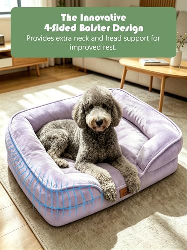 Spotted Play Orthopedic Dog Bed with Sides - Sofa Beds for Large Dogs, Supportive Foam Pet Couch Bed with Washable Removable Cover, Waterproof Lining and Non-Slip Bottom, Purple - L-Plus - Image 5