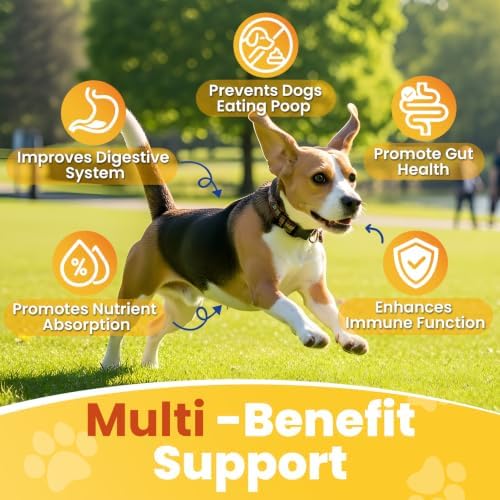 No Poo Coprophagia Chews for Dogs 200 ct Probiotics Stop Eat Stool-Chicken - Image 2