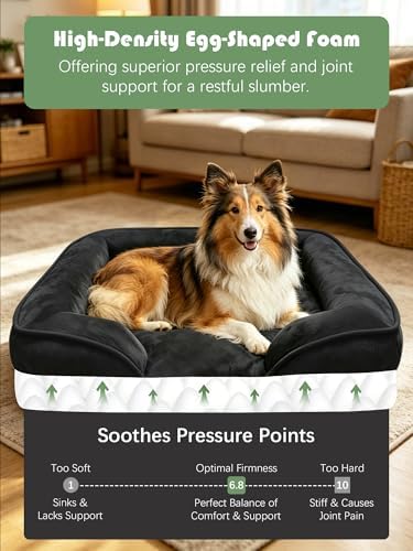 Spotted Play Orthopedic Dog Bed with Sides - Sofa Beds for Large Dogs, Supportive Foam Pet Couch Bed with Washable Removable Cover, Waterproof Lining and Non-Slip Bottom, Black - L-Plus - Image 4
