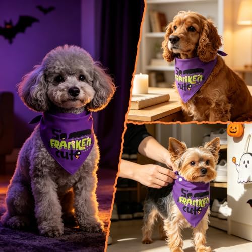 Halloween Dog Bandanas So Franken Cute Costumes for Giant Pet - Image 3
