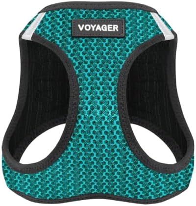 Voyager Step-in Air Dog Vest Harness - Turquoise 2-Tone, X-Small by BestPetSuppliesLLC
