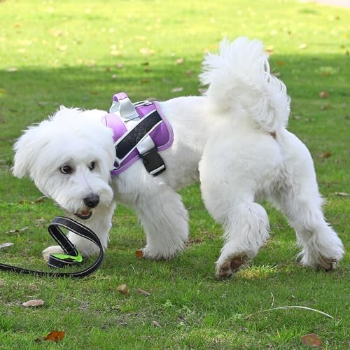 Bolux Dog Harness, No-Pull Reflective Dog Vest, Breathable Adjustable Pet Harness with Handle for Outdoor Walking - No More Pulling, Tugging or Choking (Lavender, Small (Pack of 1)) - Image 6