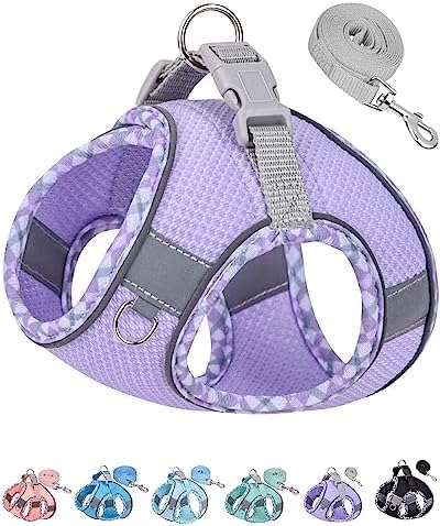 Petank Step in Dog Harness No Pull and Leash for Small Medium Dogs Cats. by PetankCareforEveryPaw