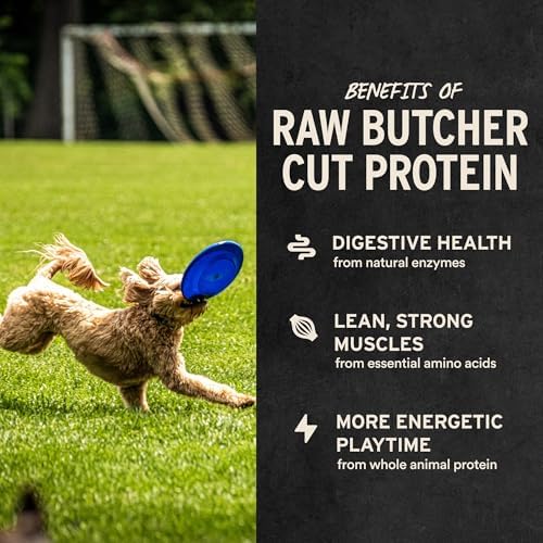 Vital Essentials Freeze Dried Dog Treats, Beef Liver, 5.5 oz Bag - Image 4
