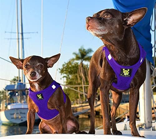 EcoBark Step in Dog Harness Vest - Reflective Soft Ultra Padded Mesh Dog Harnesses for XXS, XS, Small, and Medium Dogs Eco-Friendly Comfort Secure Halter No Pull Adjustable Pet Vest (Small, Purple) - Image 4