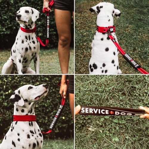 Waterproof Dog Leash Sleeve, Service Dog Dual-Sided Message Wrap, 1-Pack - Image 4