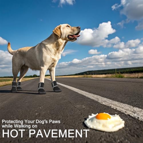 EXPAWLORER Waterproof Dog Shoes for Small Medium Large Dogs, Dog Shoes for Hot Pavement, Hiking Walking, Reflective Dog Booties for Outdoor Snow Rain Days, Anti-Slip Dog Boots & Paw Protectors - Image 3