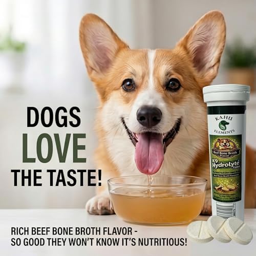 Dogs Electrolyte Supplement - Beef Broth – Hydration Support – 20 Tabs - Image 4