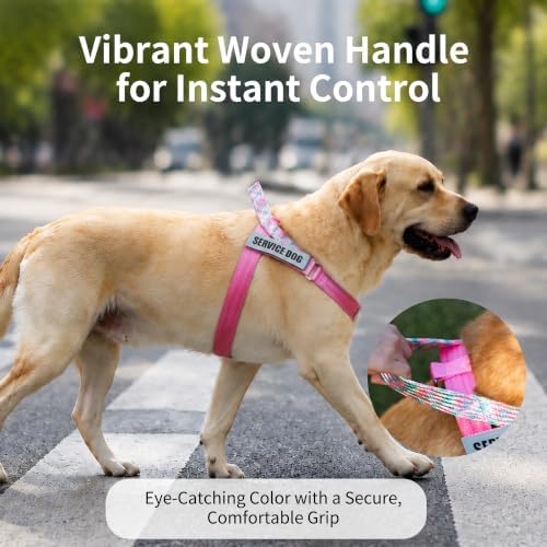 No Pull Dog Harness and Leash Set, Australian Dog Harness, Service Dog Harness with Handle and 4 Reflective Patches, Adjustable Training Vest for Small, Medium and Large Dogs (Pink,XS) - Image 3
