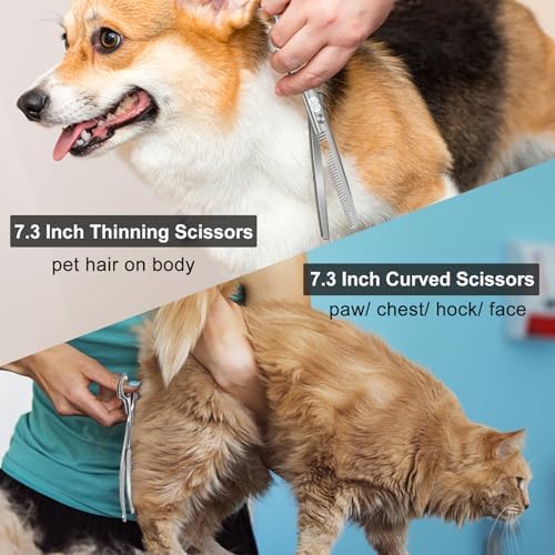 CIICII Dog Grooming Scissors Kit, 7 Inch Safety Pet Cat Shears Set (Silver) - Image 6
