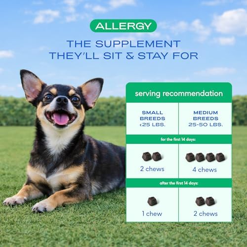 Native Pet Dog Allergy Chews for Medium Breeds - Itchy Skin and Seasonal Itch Support - Colostrum, Probiotics, Spirulina - 60 Chews - Image 5