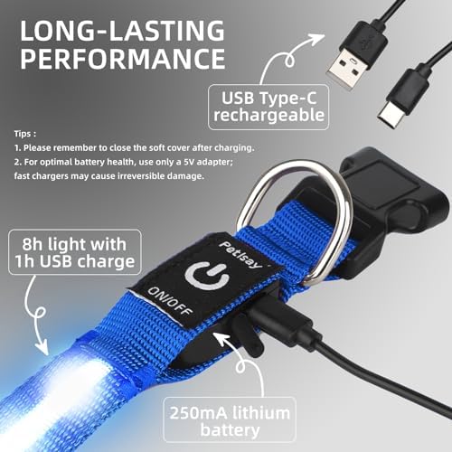 Super Bright LED Dog Collar, Waterproof Light up Collars(Blue, Large) - Image 6
