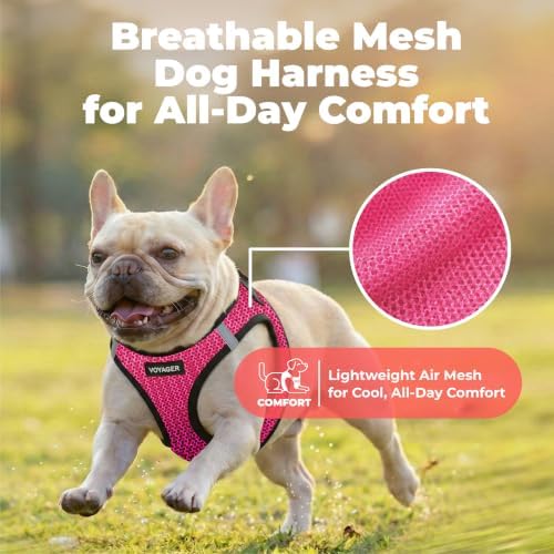 Voyager Step-in Air Dog Vest Harness - Fuchsia 2-Tone, Large - Image 5
