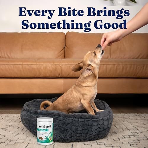 Solid Gold Dog Vitamins, Multivitamin Chews for Immune & Skin, 120ct - Image 5