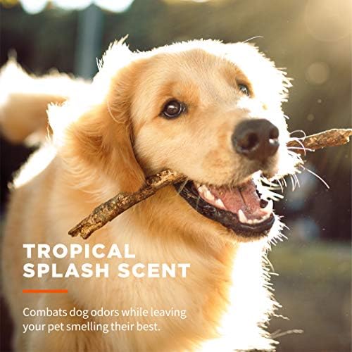 Wet Ones for Pets Antibacterial Dog Wipes, Tropical Splash, 50 Count, 12-Pk - Image 3