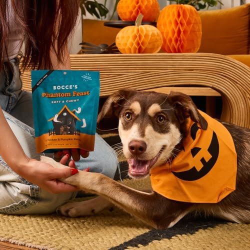 Bocce's Bakery Phantom Feast Flavor Soft & Chewy Halloween Dog Treats, 6 oz - Image 6