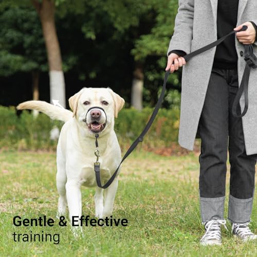 SVD.PET No-Pull Dog Headcollar for Easier Walks, Chew-Proof Protector to Increase Comfort, Simple Design, Easy to Wear and Adjust (Medium Size for Small and Medium Size Dogs) - Image 5