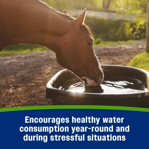 Farnam Apple Elite Horse Electrolytes Powder Supplement, 160 Day Supply - Image 4