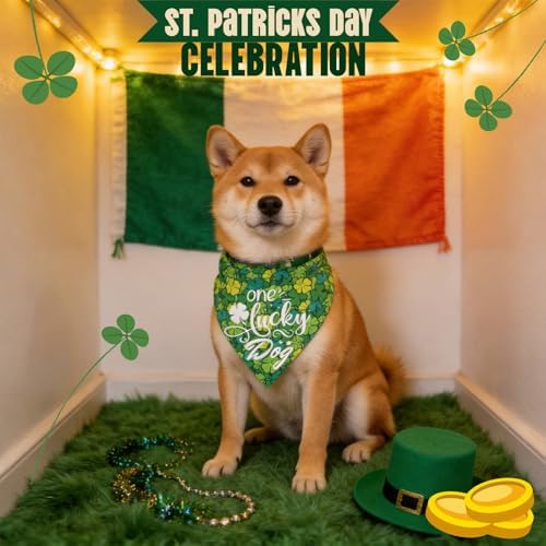 Dog Bandana for St. Patricks Day 2-in-1 Reversible - One Lucky Dog & 4-Leaf Clover Design, Pet Scarf with Snap Button Cute Lucky Holiday Costumes, Small & Medium Breeds (5-30lbs) - Image 2