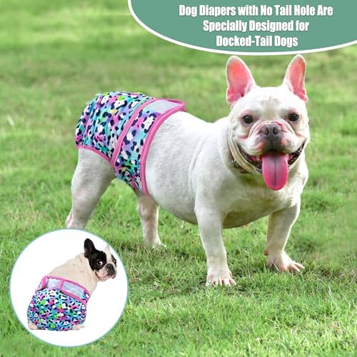 wegreeco Frenchie Dog Diapers Female No Tail Hole,Washable Pet French Puppy Bulldog Diapers Female for Period Heat,Reusable Doggy Doggie Dog Diapers （Cow Pattern X-Large） - Image 2
