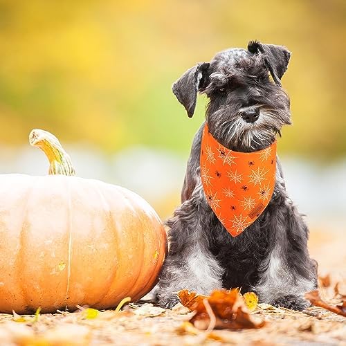 PTDECOR Orange Halloween Dog Bandana, Ghost Spider Web Pet Scarf, Small - Image 3