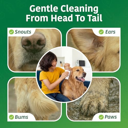 Inspire Naturals Pet Wipes for Dogs and Cats 100% Natural Plant Based with Organic Antioxidants, Dog Wipe Cleaning Deodorizing | Washcloths for Cats | Puppy Wipe for Paws and Butt (50ct - 1 Pack) - Image 2