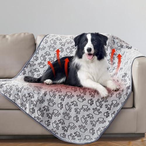 Stuffed Premium Soft Dog Blanket, with Flannel Grey Cute Paw Print, 43 * 66 inches Medium Large Size, Self Warming Cat Blanket Puppy Supplies Dog Products Stuff Essentials by STUFFED