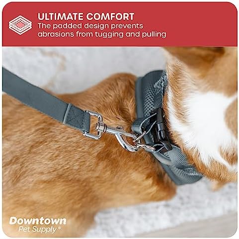 Downtown Pet Supply Step in Dog Harness No Pull, X-Large, Titanium - Adjustable Harness with Padded Mesh Fabric and Reflective Trim - Buckle Strap Harness for Dogs - Image 6