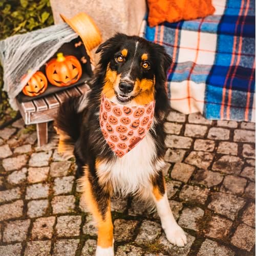 ADOGGYGO Dog Halloween Bandana, 2 Pack Pumpkin Ghost Dog Scarf, X-Large - Image 2