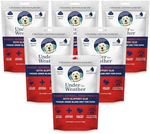Under the Weather Bland Diet for Dogs | Easy to Digest Stomach Support for Sick Dogs | Contains Electrolytes, All Natural | 6 Pack - Turkey, Oatmeal, Sweet Potato & Slippery Elm - 6oz by UndertheWeather