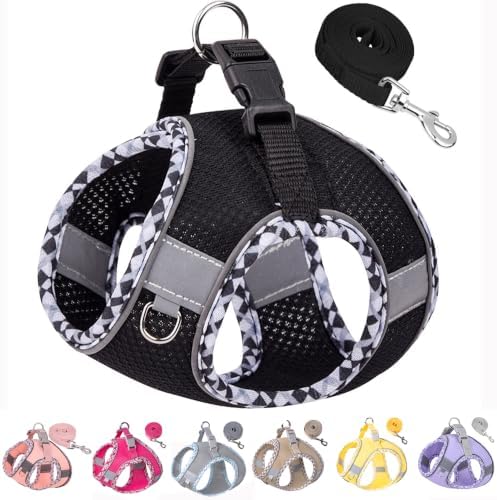 Petank Step in Dog Harness No Pull and Leash for Small Medium Dogs Cats. by PetankCareforEveryPaw